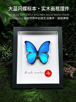 10-дюймовая фоторамка с образцом настоящей бабочки, готовая рамка для показа крыльев, редкий и драгоценный синий подарок на день рождения для насекомых