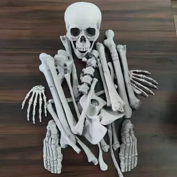 28 шт./компл. скелет для Хэллоуина, скелет для фильмов и телевидения, набор разбросанных костей Secret