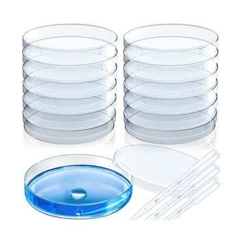 12 Шт Стерильная Пластиковая Глубокая Прозрачная Тарелка для Лабораторного Анализа, Школьных Проектов, Образцов Крови, Бактерий, Культуры Семенных Клеток